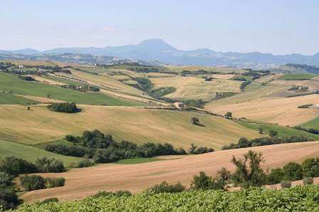 Comune di Belvedere Ostrense